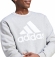 IJ8898 ADIDAS M BL FL SWT / Толстовка