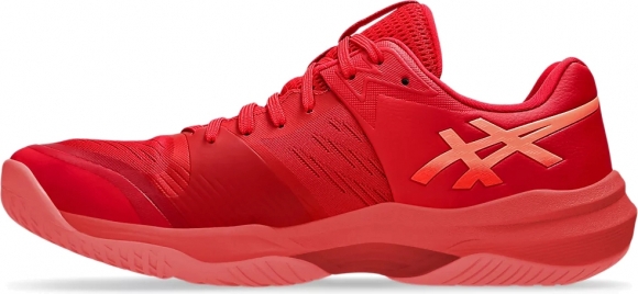 1051A080 600 ASICS SKY ELITE FF 3 LO / Кроссовки