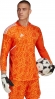 HB1617 ADIDAS CON22GK JSY L P / Джерси