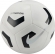 FZ7555 100 NIKE Pitch Training / Мяч