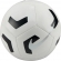 FZ7555 100 NIKE Pitch Training / Мяч