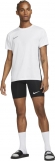 DH8128 010 NIKE Men's Soccer Shorts / Шорты