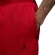 FV8608 687 NIKE M J DF SPRT CSVR FLC PANT / Брюки