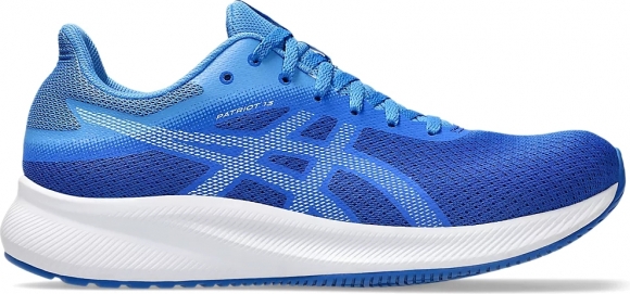 1011B485 412 ASICS PATRIOT 13 / Кроссовки