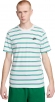 DZ2985 094 NIKE M NSW TEE CLUB STRIPE / Футболка