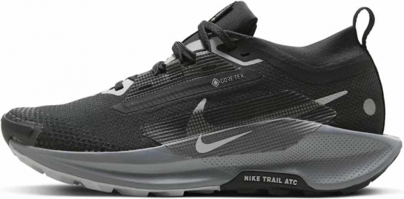 FQ0912 001 NIKE Pegasus Trail 5 GORE-TEX / Кроссовки