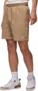 FV7285 257 NIKE M J BRKLN FLC SHORT / Шорты