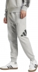 JE8969 ADIDAS M BL FT PT / Брюки