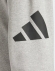 JE8969 ADIDAS M BL FT PT / Брюки